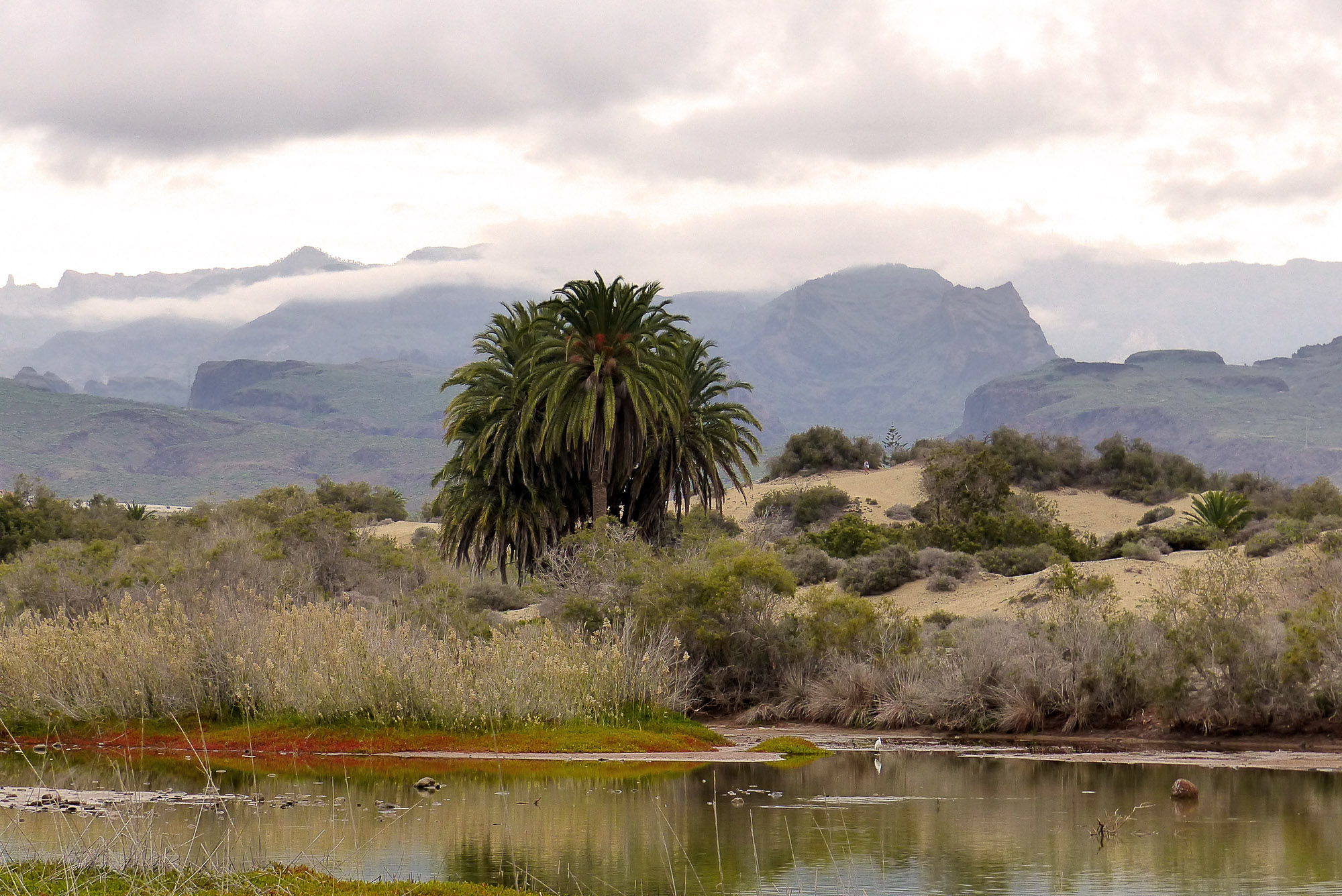 Gran Canaria: Ein Kontinent im Westentaschenformat